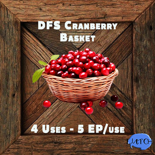 DFS Cranberry Basket