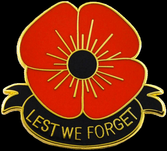 Rememberance Poppy Pin