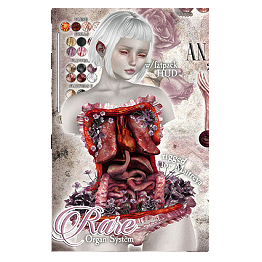 CURELESS [+] Anatomic Doll / Organ System / RARE for Maitreya