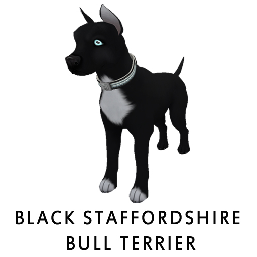BlackStaff PW Black F