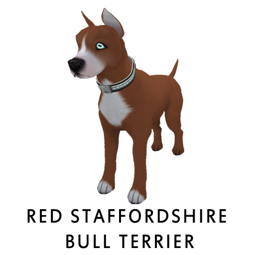 RedStaff Terrier CCEarthGalaxy F