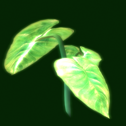 Papillon Frond Tier 4 Small/Dazzling Excited ElF