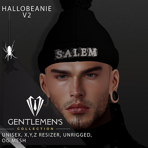 [GC] Hallobeanie V2 Salem