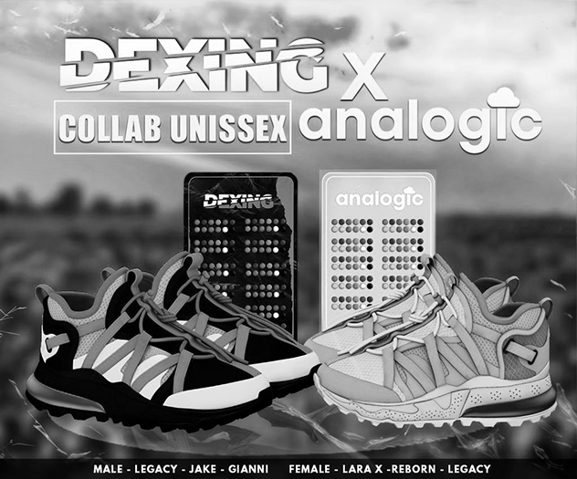 Analogic - Ary Shoes DEMO