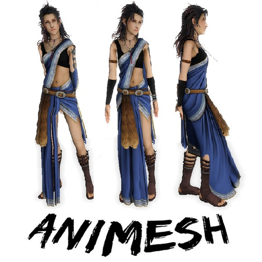 Medieval Alice the Seer - Animesh
