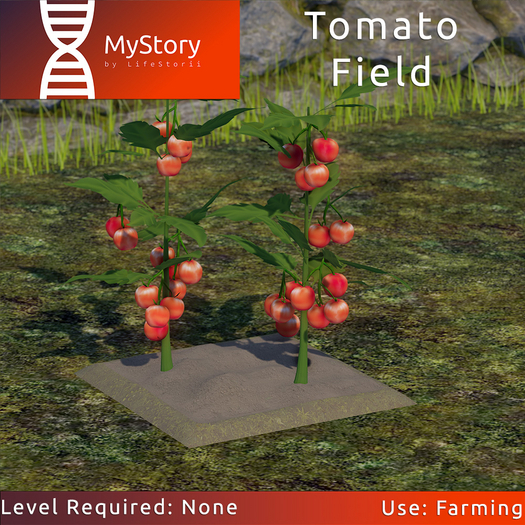 MyStory Tomato Field V1.6