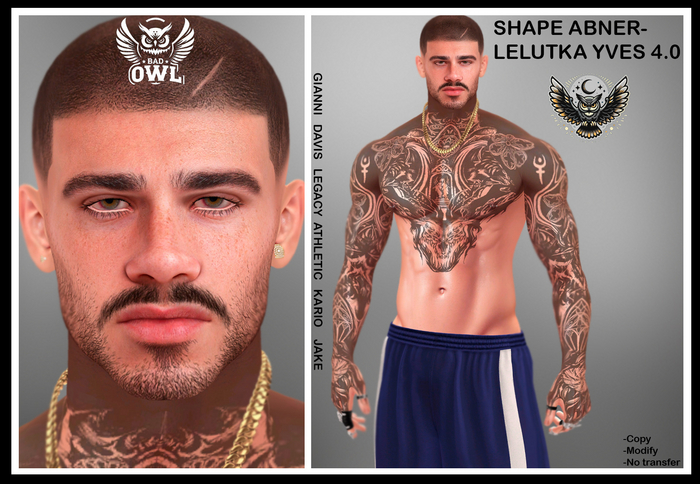 SHAPE ABNER-LELUTKA YVES 4.0