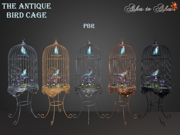 Bird Cage