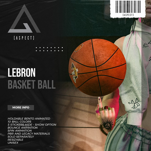 [ Aspect ] Lebron Basket Ball