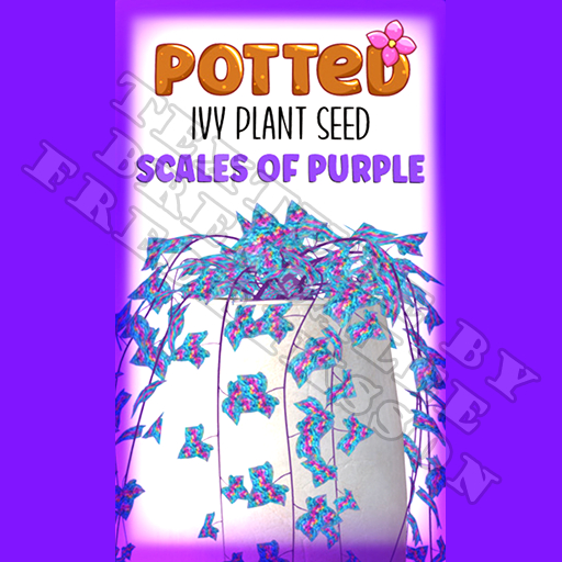 Potted: Ivy Plant Seed: Scales of Purple (ACTUAL PLANT SEED)