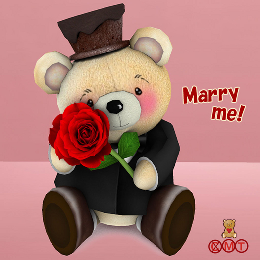 Marry me! Teddy Bear