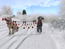 Labbis - Merry Christmas