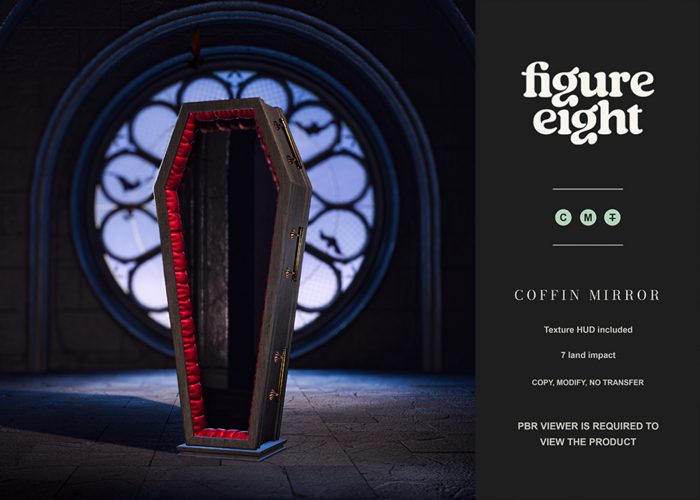 Figure 8 - Coffin Mirror