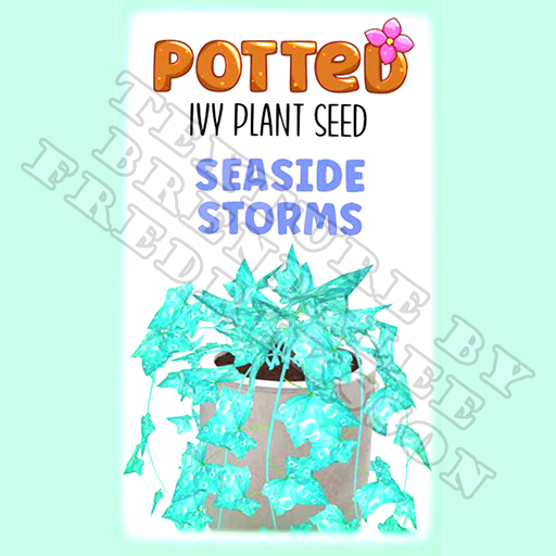Potted: Ivy Plant Seed: Seaside Storms (ACTUAL PLANT SEED) - Retired!