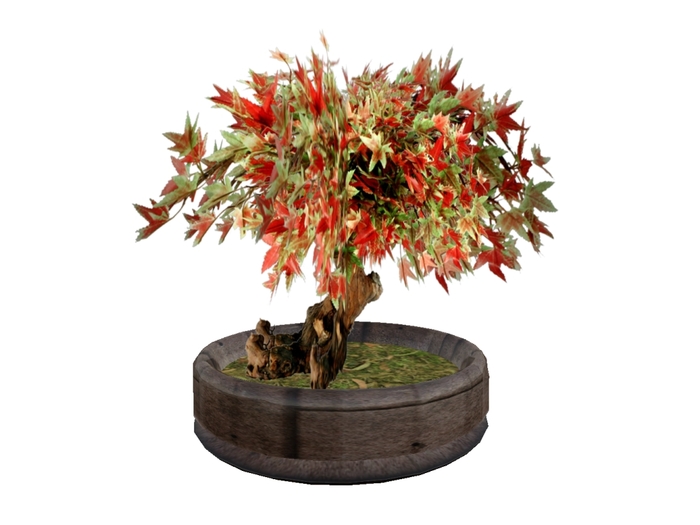 Second Life Marketplace Cherry Blossom Maple BONSAI + Wood Pot