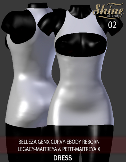 [SHINE FULL PERM] 02