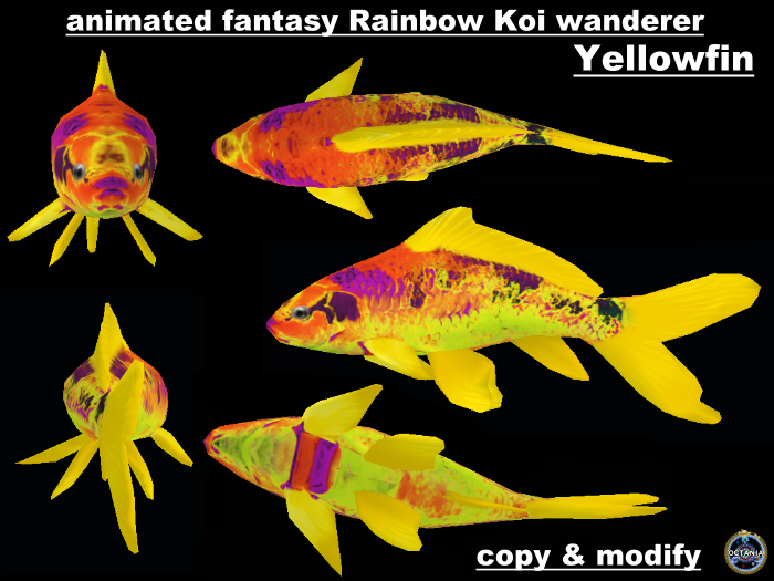 !O! - animated fantasy rainbow Yellowfin koi wanderer  (c/m)