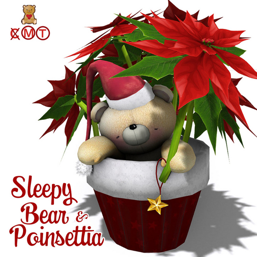Poinsettia & Sleepy Bear