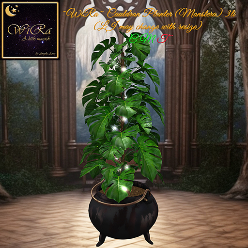 ~WiRa~ Cauldron Planter (Monstera) (BOX)