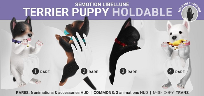 1. SEmotion Libellune Terrier Puppy Holdable RARE