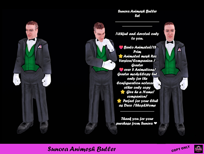 Sunora Animesh Butler Set