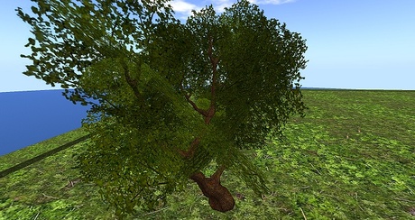 Second Life Marketplace - New! Sculpted 3prim Tree with Texture and ...