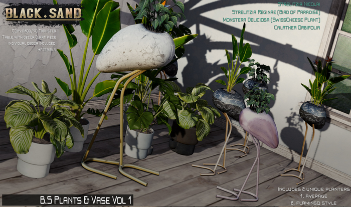 Black . Sand B.S Plants & Vase Vol 1