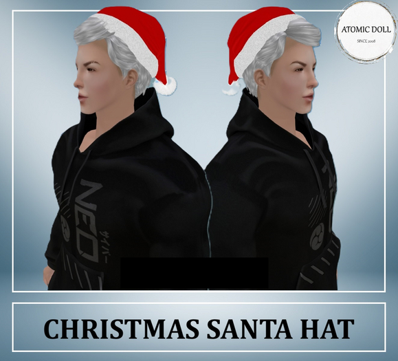 Santa Hat