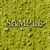 Zoy Texture [ Snow Frosty Seamless 04 ] C