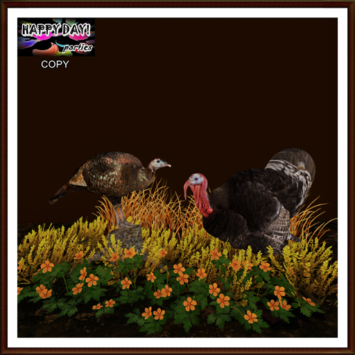 Thanksgiving - Turkeys in the Garden