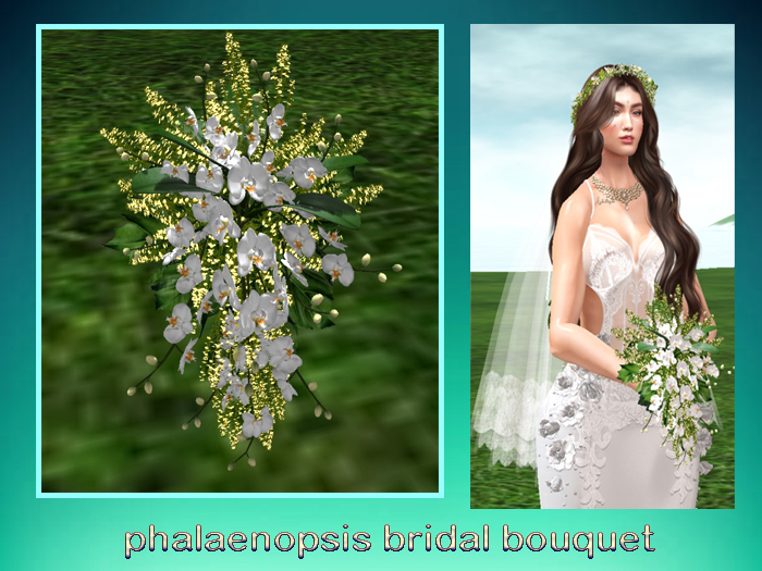 phalaenopsis bridal bouquet