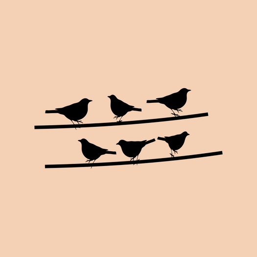 Body Sticker Pack - BIRDS