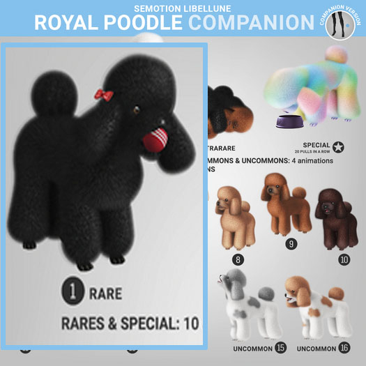 SEmotion Libellune Royal Poodle Companion RARE 01