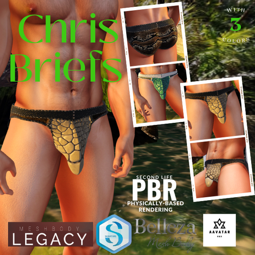 Chris Briefs Pack