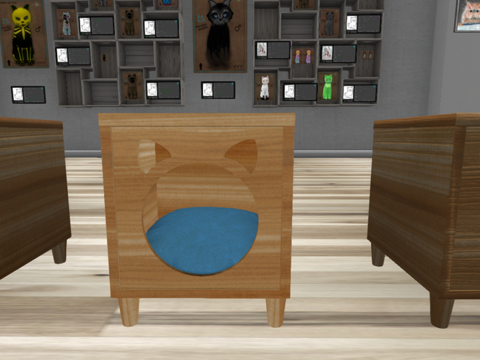 Kitty, Cat, Bed, Blue
