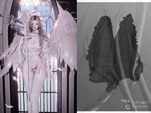 FenDuDu_White Temptation-tire C