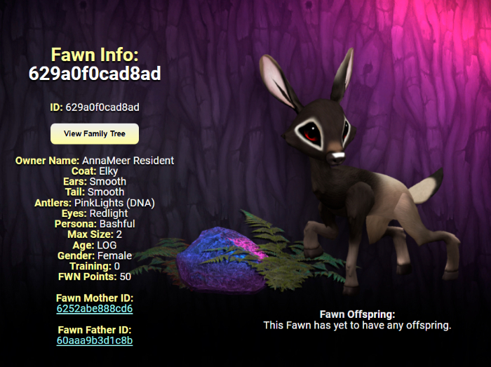 ELKY REDLIGHT FEMALE (PINK LIGHTS DNA) SIZE 2