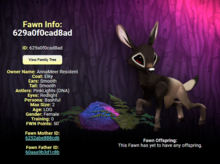 ELKY REDLIGHT FEMALE (PINK LIGHTS DNA) SIZE 2