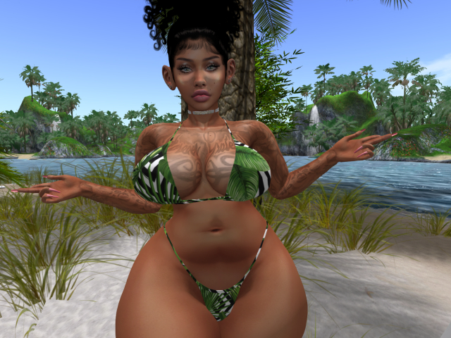 *KC* Renee Kupra Tropical