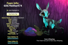 INSIGNIS CHAMPAGNE FEMALE ( DEER DNA) SIZE 4