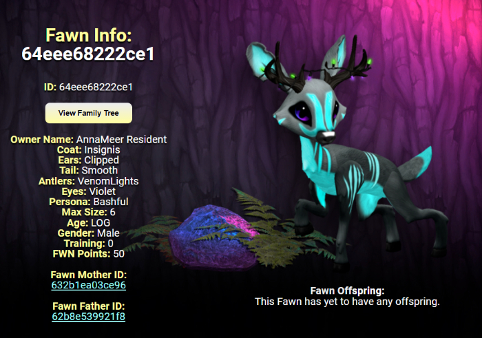 INSIGNIS VIOLET MALE VENOM LIGHTS SIZE 6