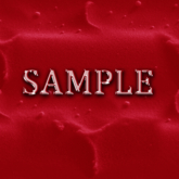 Zoy Texture [ Snowy Snow Seamless 03 ] F