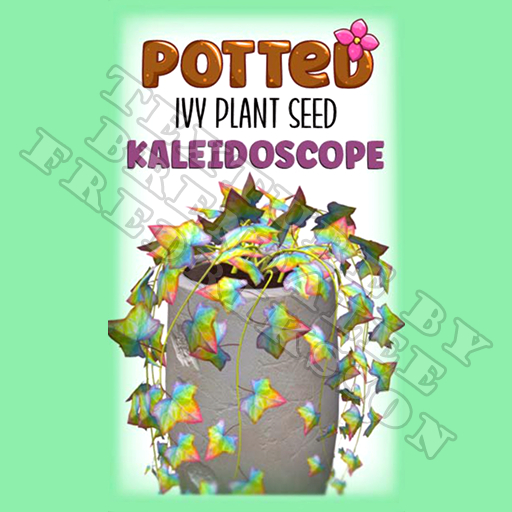 Potted: Ivy Plant Seed: Kaleidoscope (ACTUAL PLANT SEED) - Retired!