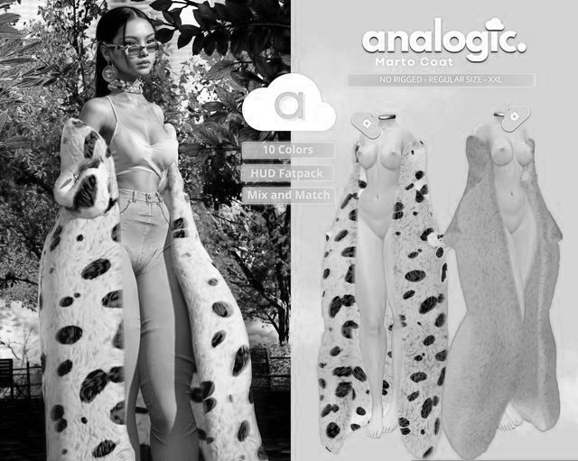 Analogic - Marto Coat DEMO
