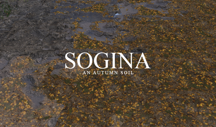 SOGINA an autumn seal by Sources