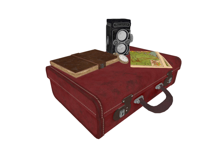 Vintage Travel pack