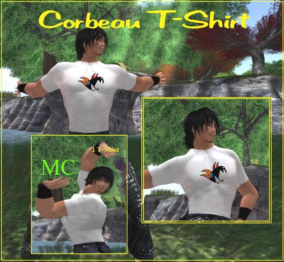 Corbeau T-Shirt