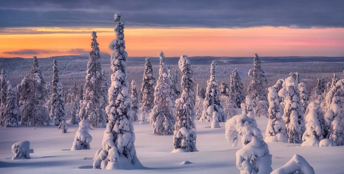 WINTER  TEXTURE ( full perm)