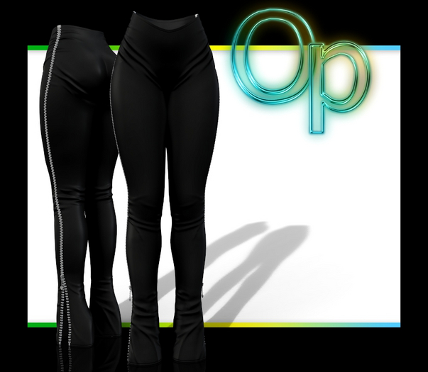 Black Zipper Pants Legacy
