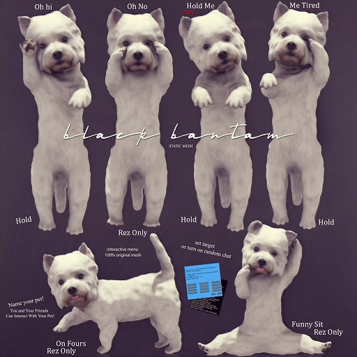 [Black Bantam] Busy Westie Tiny Dancer